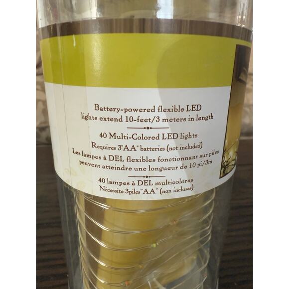 Apothecary & Company 10-Foot Multicolor LED Decorative String Lights - Picture 3 of 8